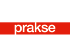 Dentin Prakse